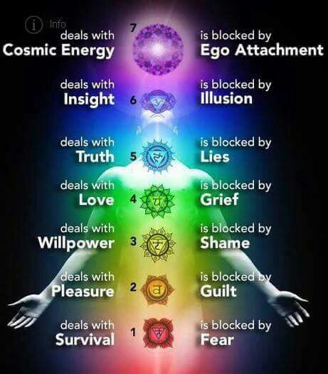 Mind Body & Soul tweet media