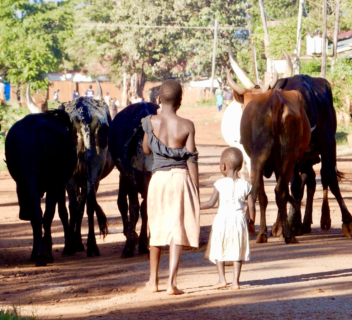 HelenReynolds66's tweet photo. @ExpatsInUganda #PhotographyCompetition
Helen Reynolds
Urban/Culture
Jinja https://t.co/grAA5uK3tO