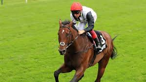 StablesInsider's tweet photo. What a display by Cracksman. Wins by around 7 length. #cracksman #dettori @FrankieDettori #ascot

https://t.co/w6pFP8Ioyo https://t.co/LoZ0WJwq7e