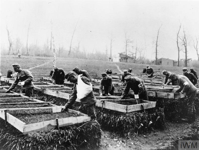 PikeGrey1418's tweet photo. Wounded Austro-Hungarian soldiers planting vegetables in a convalescence house.
© IWM (Q 112620)
#WW1 #WWI #FWW #History #Austria #Hungary https://t.co/LTtSviaiAR