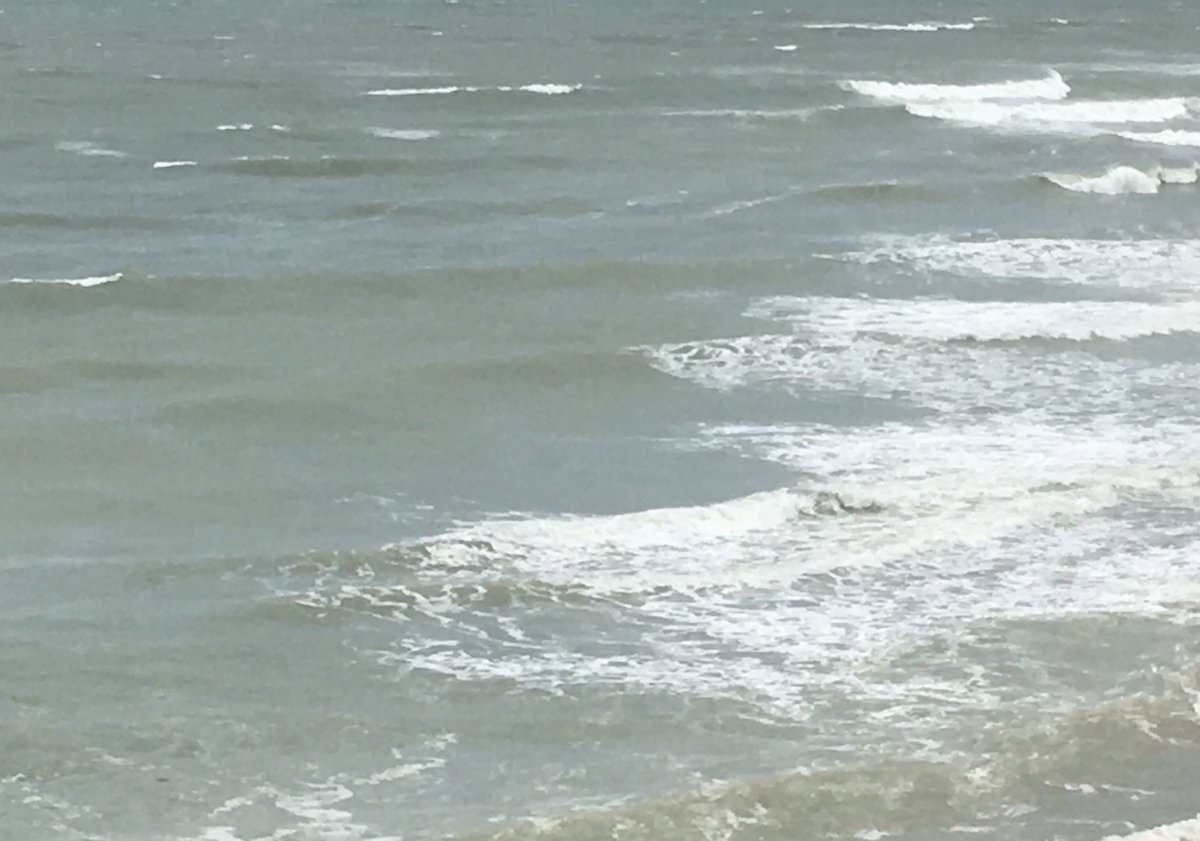 TheHFI's tweet photo. Weekend Read again: Our Coastal Communities series 'Turning the Tide' https://t.co/dnclwbSTFV https://t.co/ffYqo2cxgc