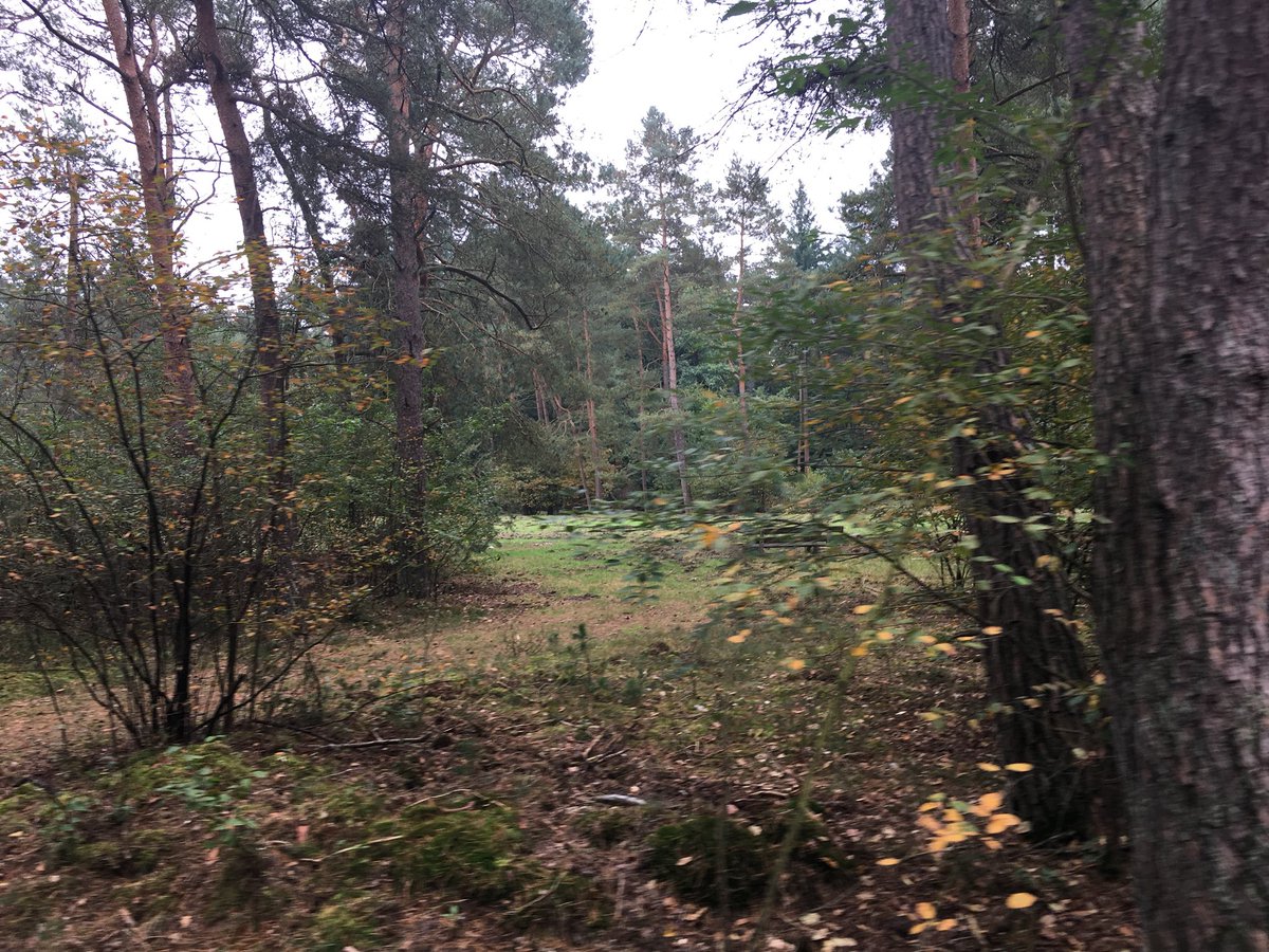 StichtingEcopop's tweet photo. We zijn er bijna,onze locaties voor #i4nature tour 2018 zijn bijna rond #natuur #festival #positiefbijdragen #mooiNL https://t.co/Wq2ugW2qOg