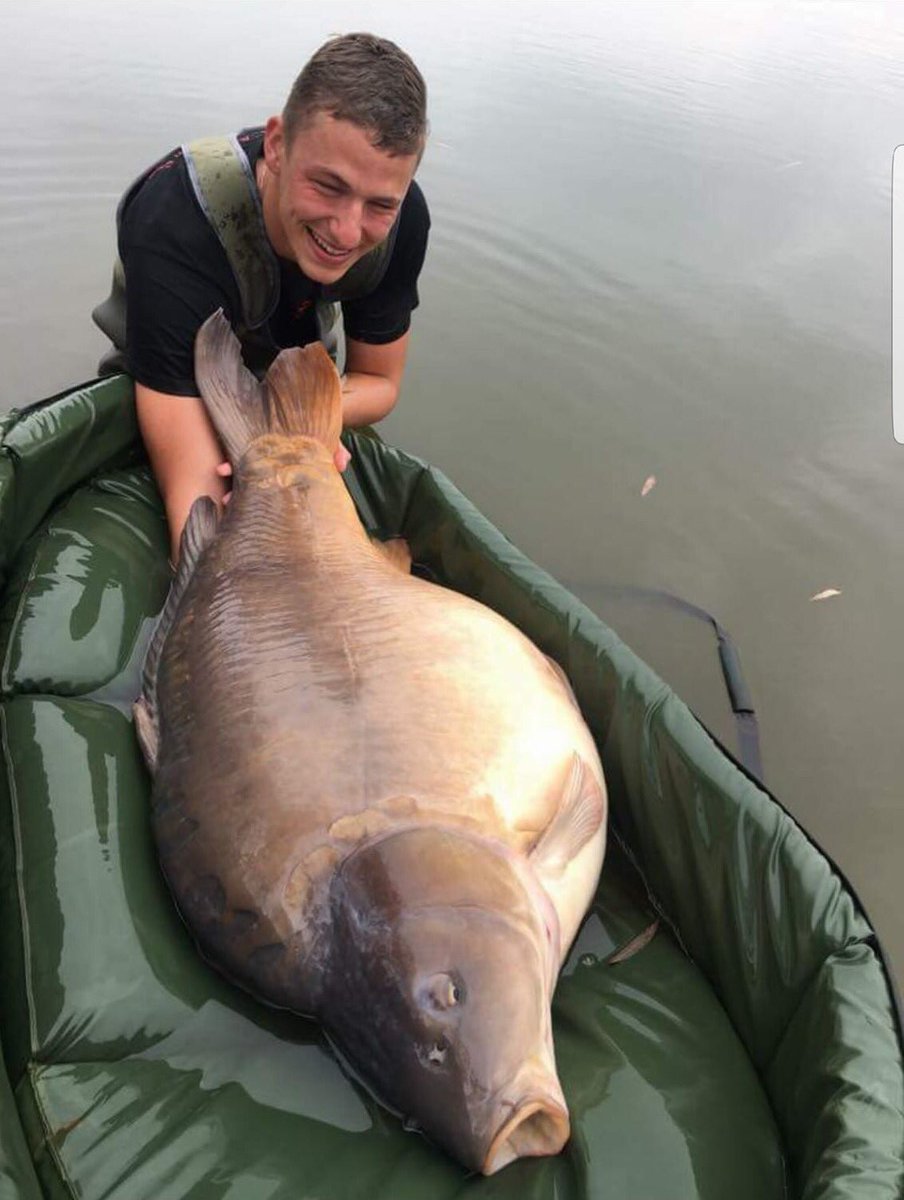 angling direct carp