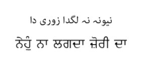 You can't make yourself fall in love. #PunjabiProverbs