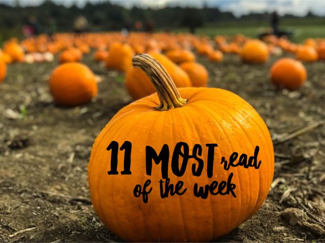 advisorpedia's tweet photo. Most Read IRIS Articles of the Week!! https://t.co/lW5wVie5W3 @USFunds  @jpmorganfunds  @OppFunds  @Coffeeandpints1 https://t.co/5OL4GId9Ev