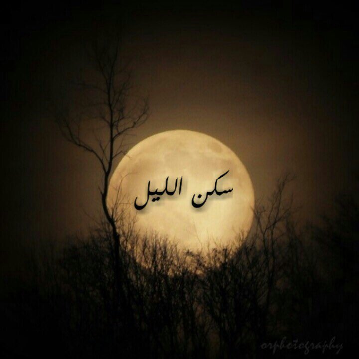raeedalsobh's tweet photo. فَهْوَ مِثْلِي عاشقٌ كيفَ يَبُوحْ 
 بالذي يُضْنِيهْ
من قصيدة سكن الليل لجبران خليل جبران https://t.co/9koqhHLG5Q