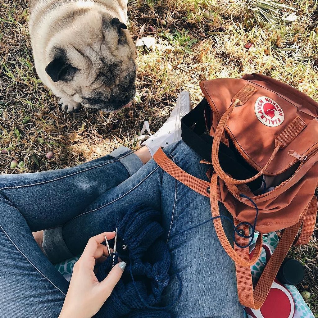 yarnitasyarns's tweet photo. No podemos estar mejor los dos 🍃
·
·
·
#alicante #vaderthepug #puglife #fromwhereiknit #knitting #knittersofinstag… https://t.co/5Sqhg3vv0O https://t.co/wYZpzXZrSt