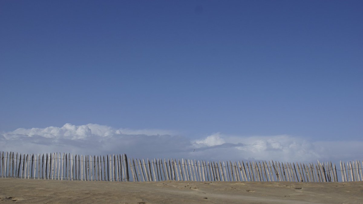 Wat een mooie dag vandaag...
De Zee Kust Katwijk!

#dezeekust #katwijk
