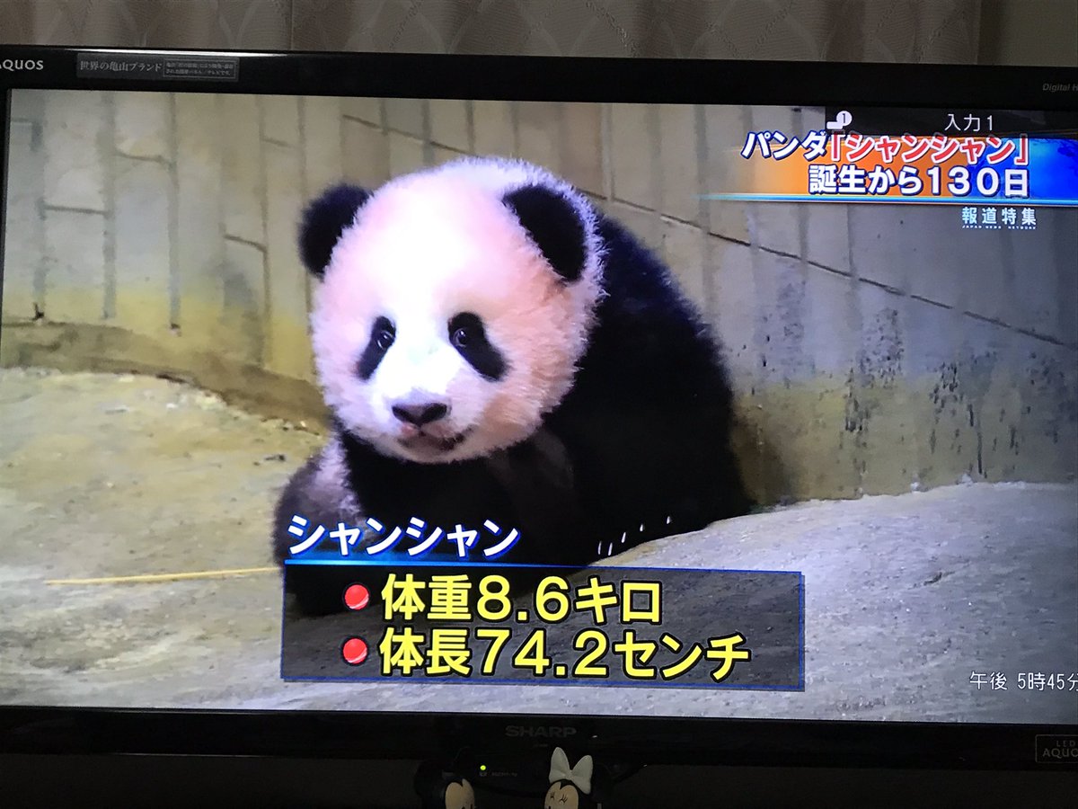 漢字の由来 Twitter Search