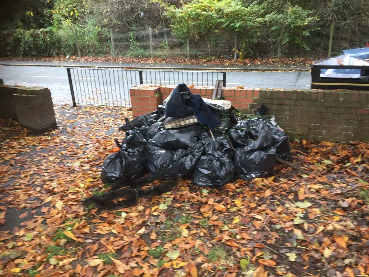 Good work today from @irisbrick volunteers! Particular thanks to @mrchrisboyle for finding my glasses which got knocked off in the bushes!