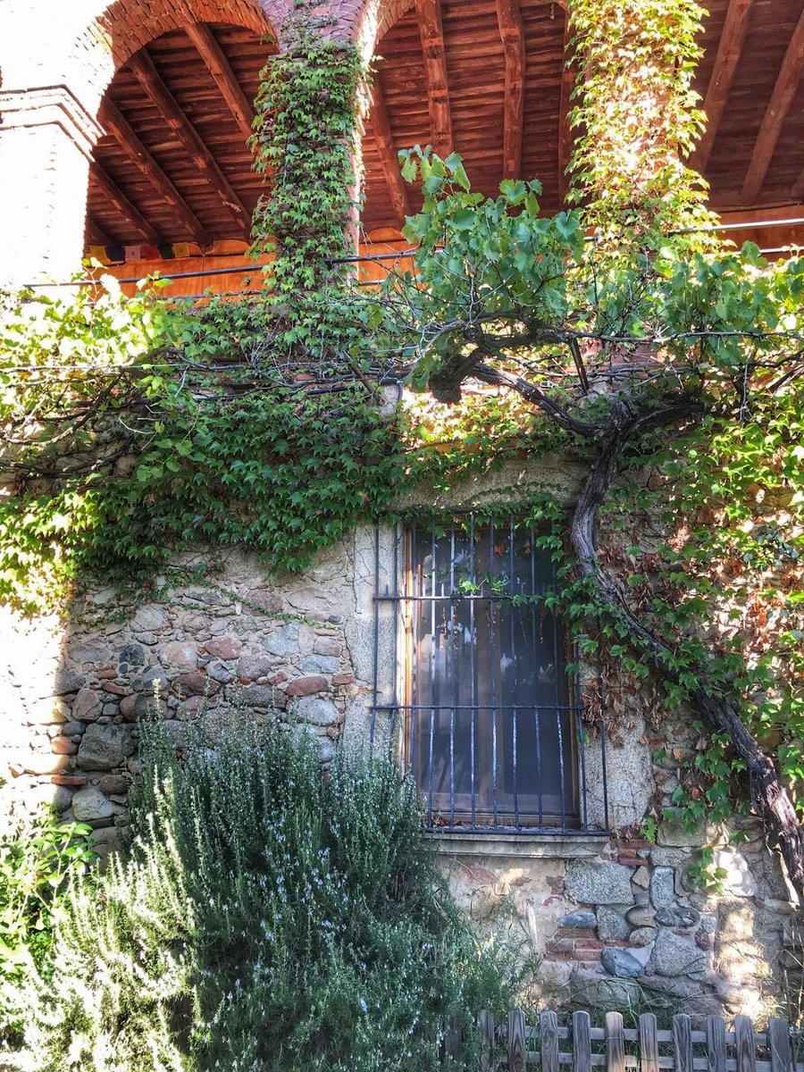 editorialDDL's tweet photo. En la finca de @EspaiSeny un lugar mágico que se dedica a contribuir a un futuro más sostenible en el ámbito #ecológico, social y económico. https://t.co/CEqhapMCuz
