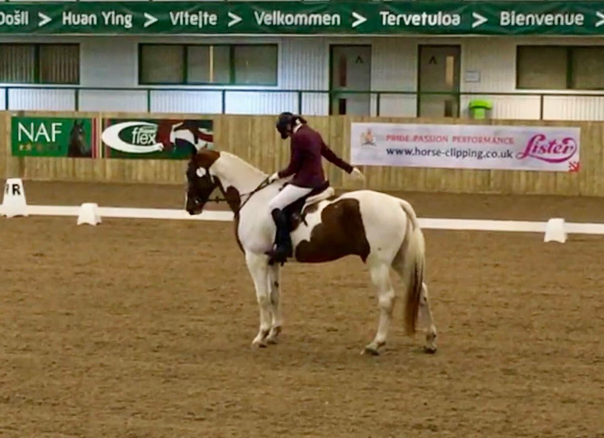 RJDressage's tweet photo. I really haven’t been very active on here had some bad news about William 😢 #247equestrian #247Dressage https://t.co/u3GTSKUvgK