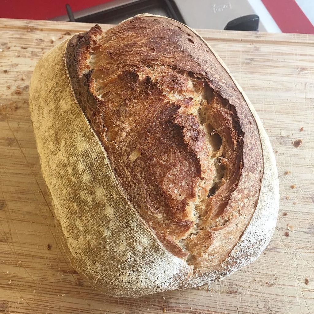 panencasa's tweet photo. Taller básico listo, descanso y a por el taller de panes italianos! 🕺🏻🕺🏻🕺🏻
#megustaquelospanessalganbien
•
#pan #p… https://t.co/JBRmHZ9Di0 https://t.co/UzXeRKDCcA