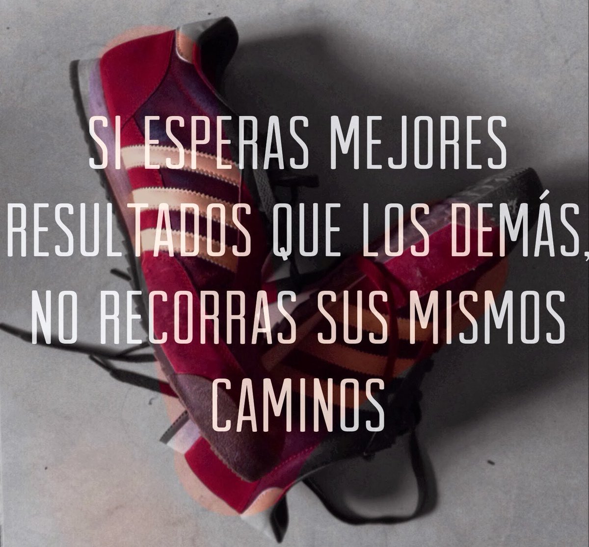 asmr_es_vida's tweet photo. https://t.co/njJkNiQSjO