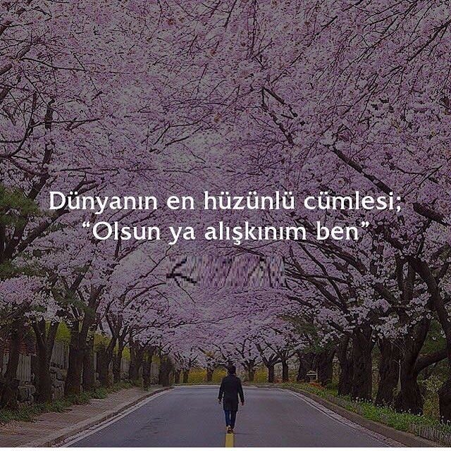 Dünyanın en hüzünlü cümlesi; "olsun ya alışkınım ben."