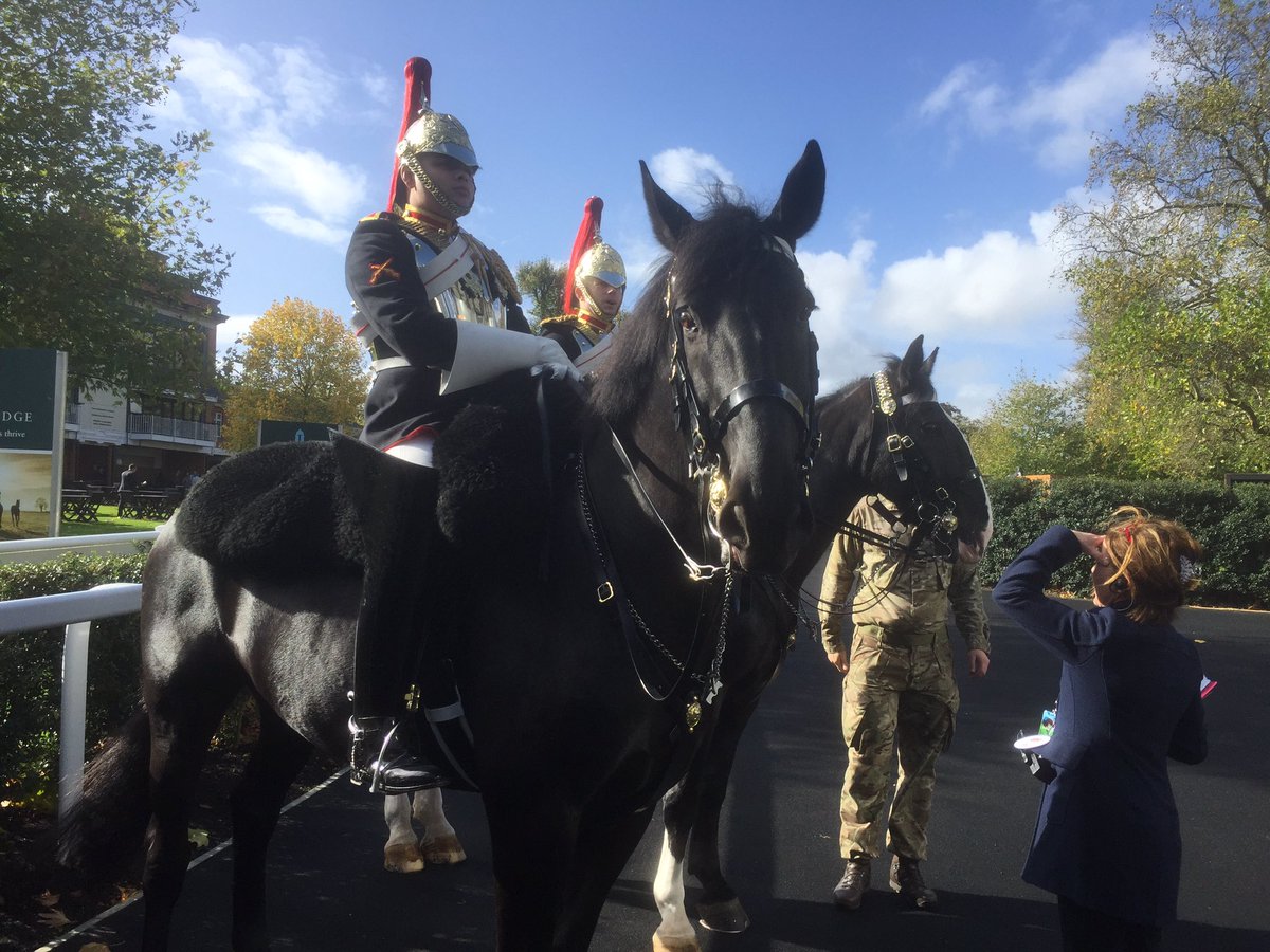 Louchepunter's tweet photo. Irish Draught horses of the Household Cavalry will lead the processions here on #ChampionsDay #ChasersInTheMaking https://t.co/psHRd2HZU1