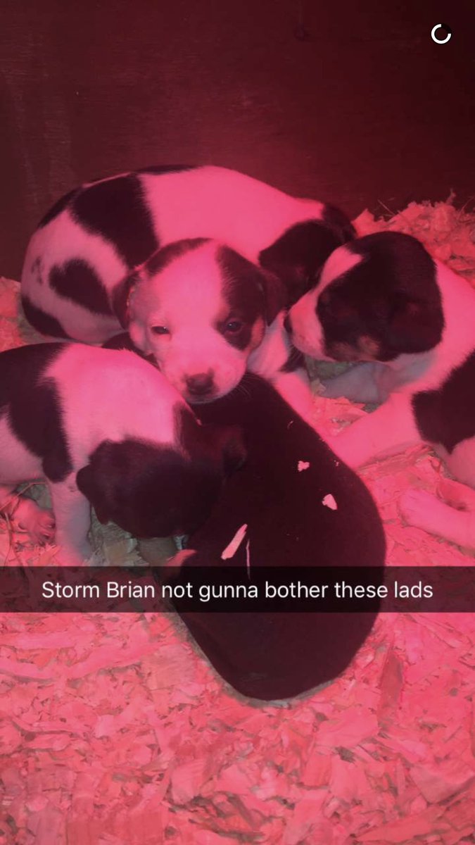 Nice and cosy #StormBrian (pic from David in #Westmeath)