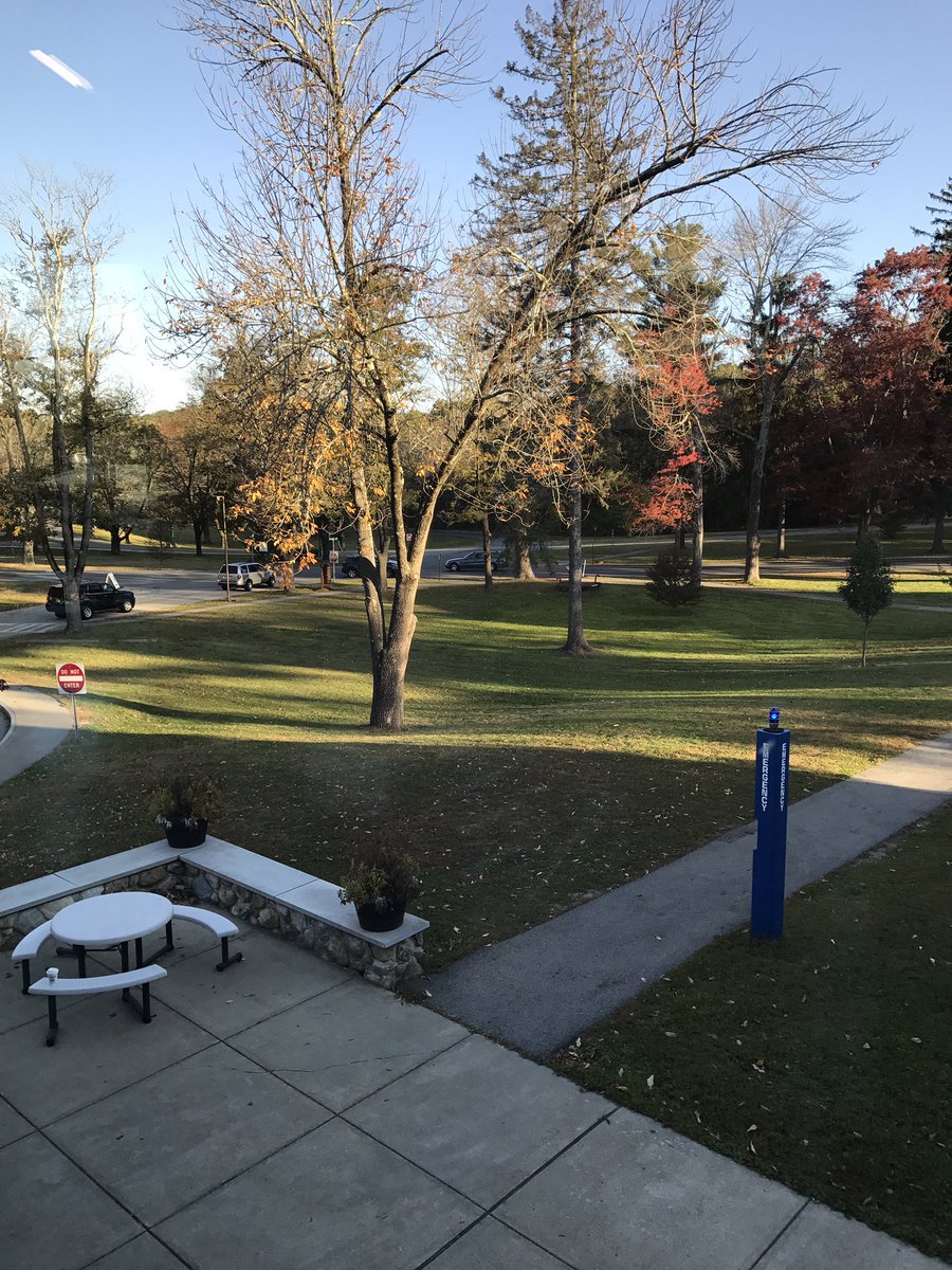 Mrs. Corey (Vangos) tweet media