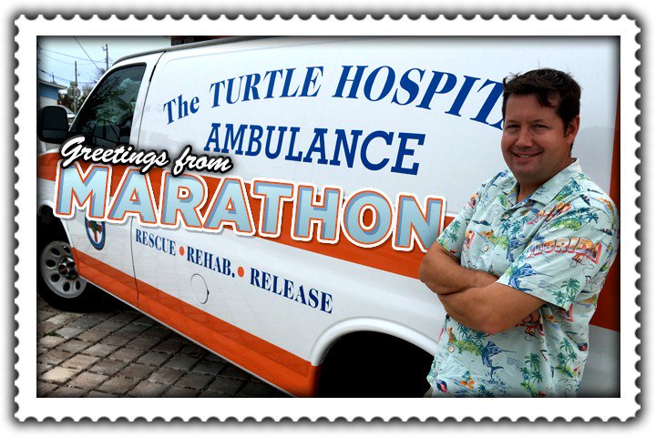 ScottFaisFun's tweet photo. ON TV TODAY: This motel #TankfulGuy can’t check into. Go inside @TurtleHospital in #Marathon on @MyNews13 & @BN9 at :50 past. #ConchStrong https://t.co/1KktVi3jDR