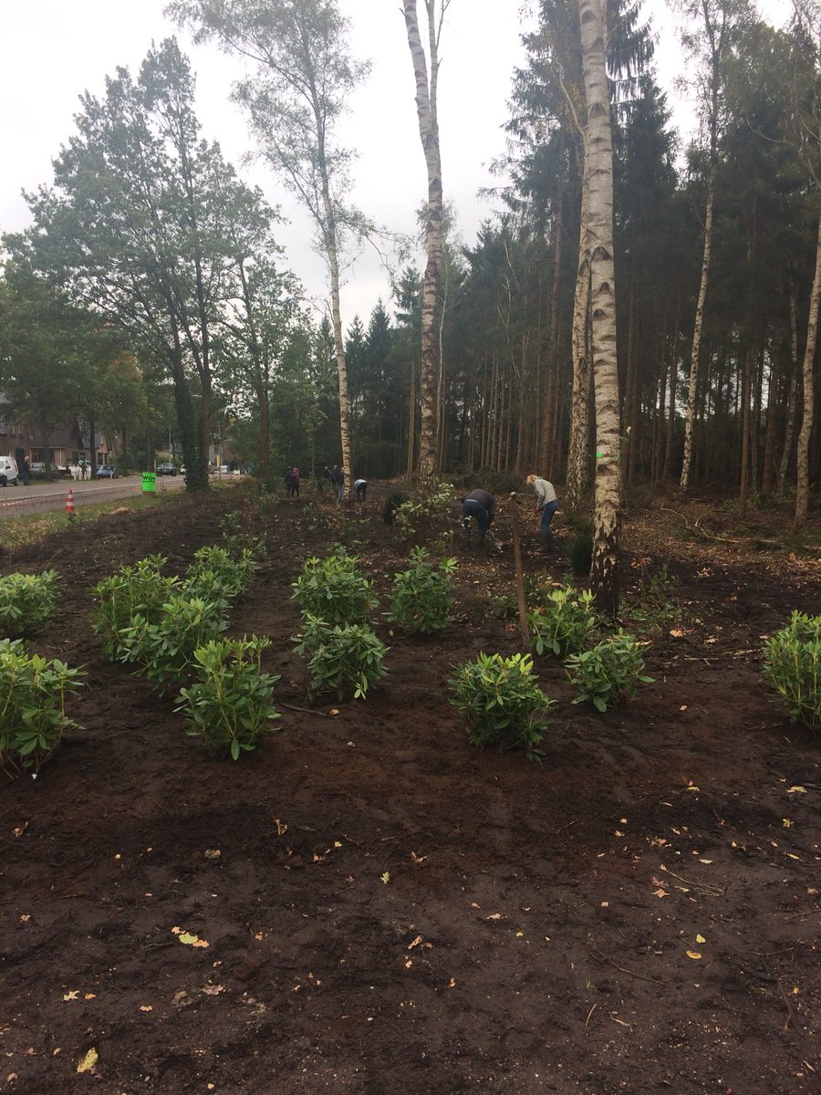 Verfraaiing entree Vaassen, Apeldoornseweg 85 wordt Landgoed. Vruchtbare Samenwerking Gemeente#Bosbeheer#AxentGroen#Buren#verwanten &amp; sHL