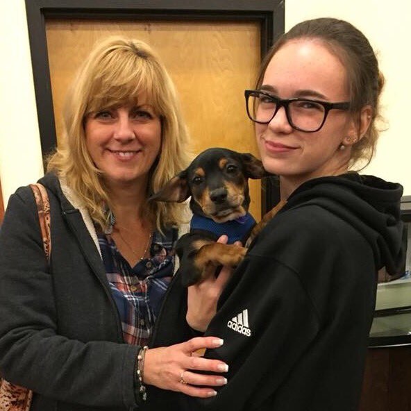 It's Gotcha Day in Canada! 42 TXCR  chi's made it safely to their new homes ❤️