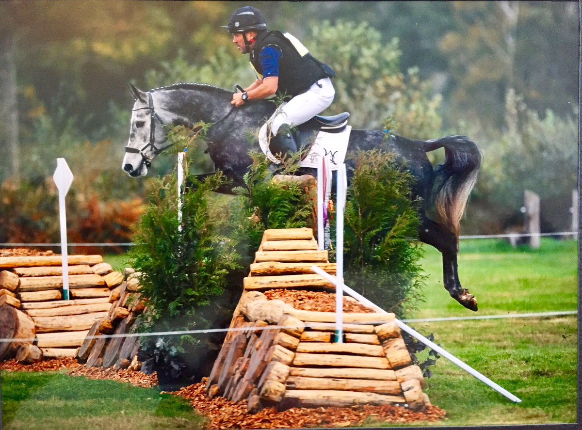 warrenlamperd's tweet photo. 4yr old Peanut at her first comp @TweseldownRC today, finishing with a super clear XC #SmallHorseBigHeart #Eventing #Future #HiForm #Tonics https://t.co/vUmgj8kkGG