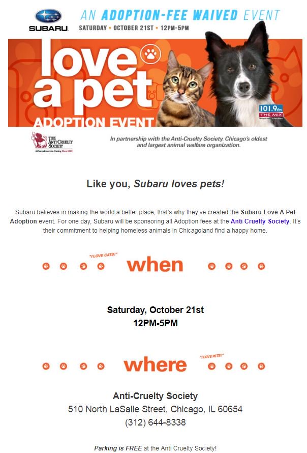 Today we will be photographing #dogs n #cats that are going home because of <a href="/subaru_usa/">Subaru</a> <a href="/1019MIXChicago/">101.9 THE MIX Chicago</a>! 12 to 5pm <a href="/AntiCruelty/">Anti-Cruelty</a> #chicago!