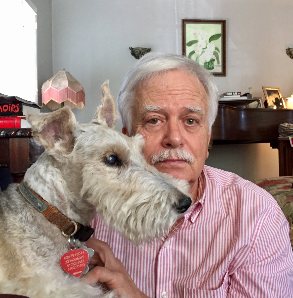 Van Dyke Parks tweet media