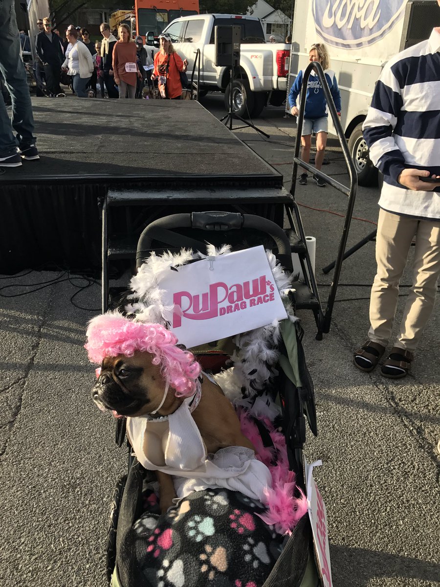 BitsOfKibble's tweet photo. And this just happened @butleru Homecoming Bulldog Beauty Contest #BUHoCo17 https://t.co/U7dhpLWy4O