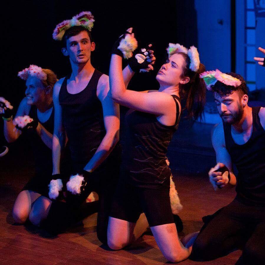 GrabEmByTheMeow's tweet photo. GRAB our musical this Monday at the York Theatre Royal @TakeOverYork GRAB tickets https://t.co/0YyF217jxD MEOW https://t.co/QFA6IyGDaj