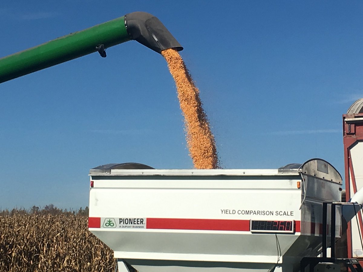 chaderickson3's tweet photo. Congrats to our 1st 200 bu corn club entry with P9188am at 216 bu per acre. https://t.co/KYqTmQz0rz