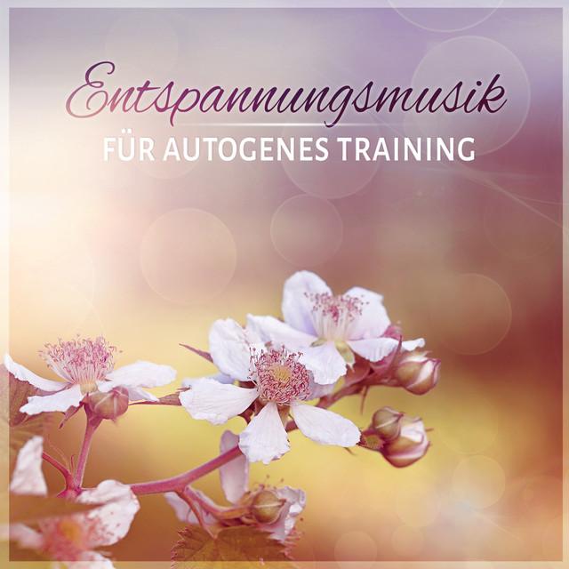 SuenoClub's tweet photo. - Entspannungsmusik für Autogenes Training -
Meditate to my relaxing music
https://t.co/XPsj9ICQpB
#newage #autogenictraining #meditation https://t.co/abnmzdob5s