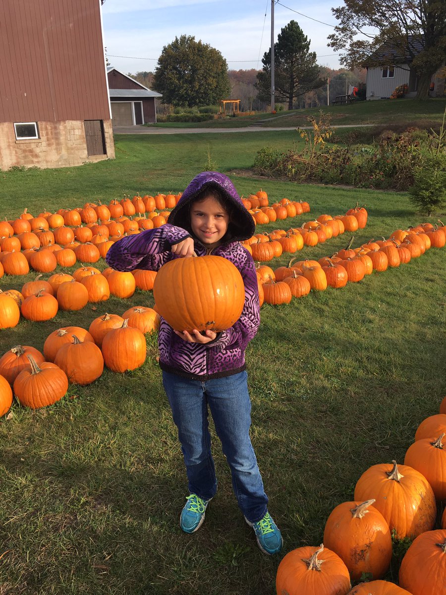 SCanadaPhoto's tweet photo. Great morning for pumpkin picking @GoodPumpkins with the #family https://t.co/pErgfAuvh5
