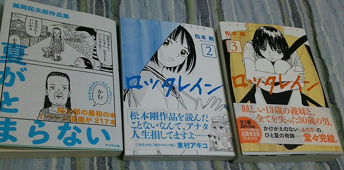 ロッタレイン ロッタレイン