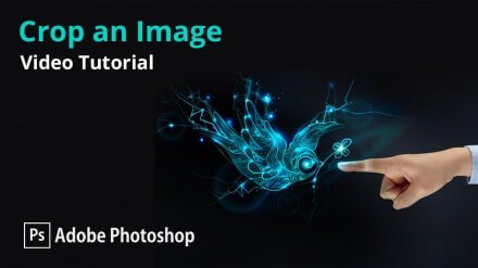 dcpwebdesigners's tweet photo. #CropImage using #AdobePhotoShop | #VideoTutorial | #dcpweb | https://t.co/0ChBJBbZJs https://t.co/pktGEQc1ne