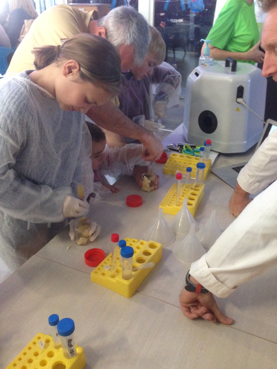 Institut Pasteur de Lille tweet media