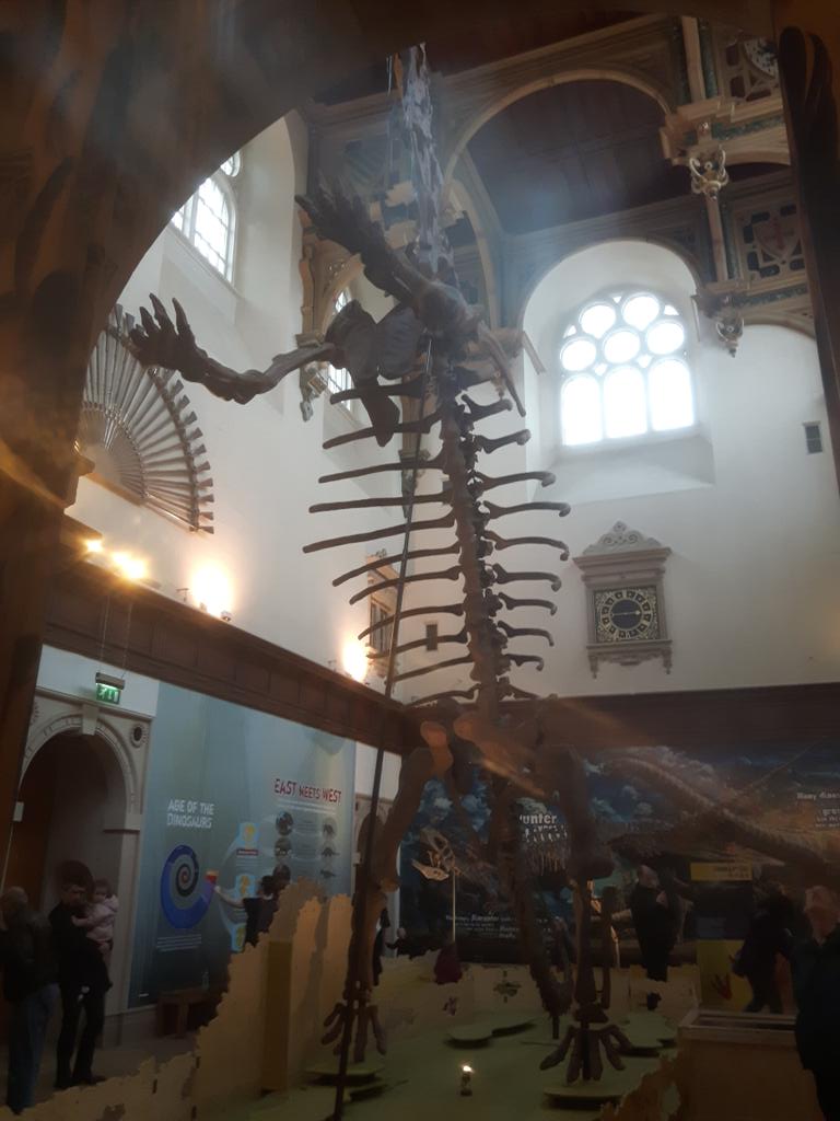 RaeHarri's tweet photo. As far as WOW! moments go...Walking into the #DinosaursOfChina Exhibition @WollatonHall & seeing the Mamenchisaurus is WAY up there!!! https://t.co/yhzwP9Lcr6