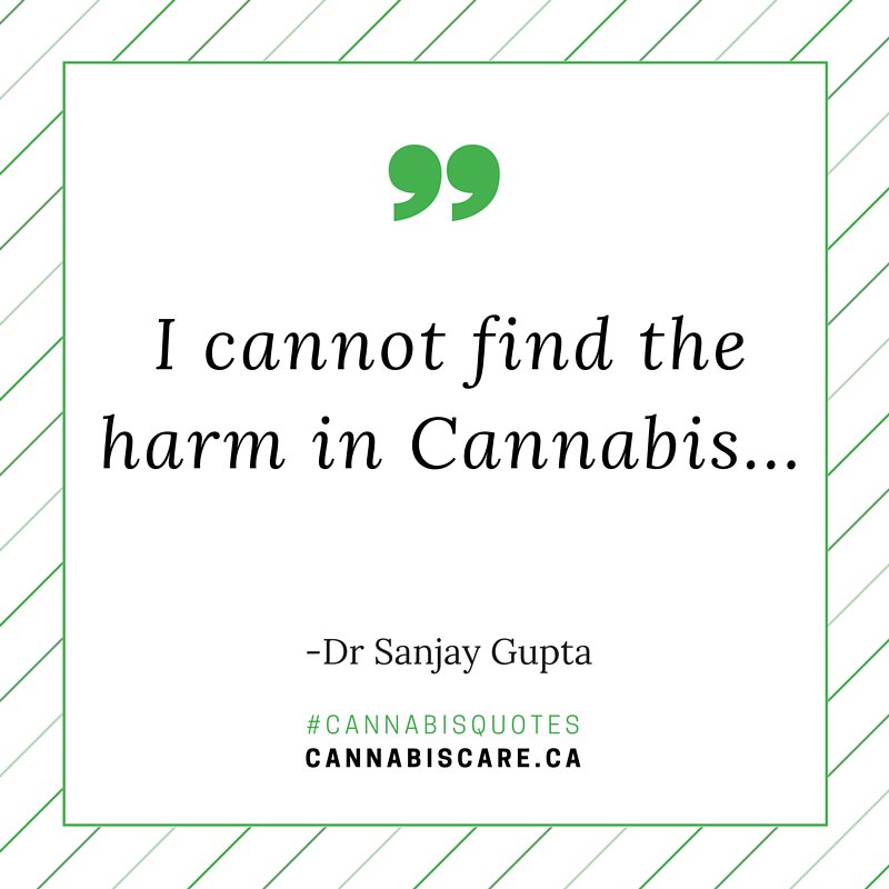 getcannabiscare's tweet photo. “I cannot find the harm in cannabis” - Dr Sanjay Gupta https://t.co/gHDjRVK71i