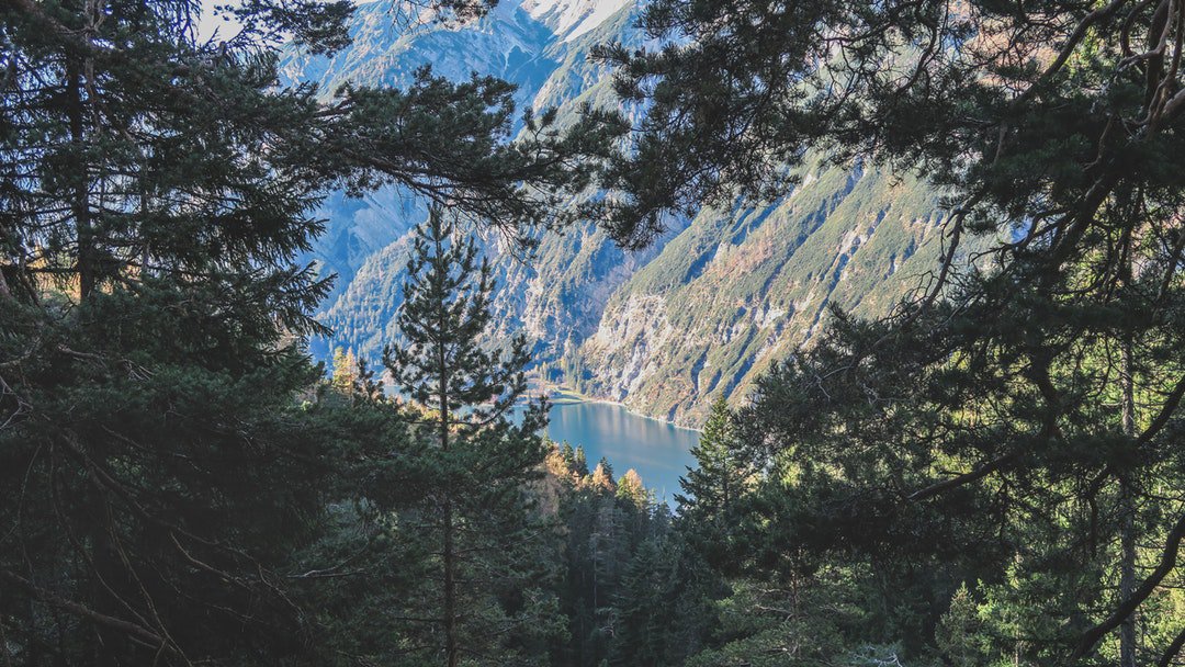 RurikoYamazaki's tweet photo. Photo By Paul Gilmore | Unsplash
#depressionhurts #depressionisreal #depressionmemes #depressionedit #depressions@ https://t.co/UDLEl8bJXT
