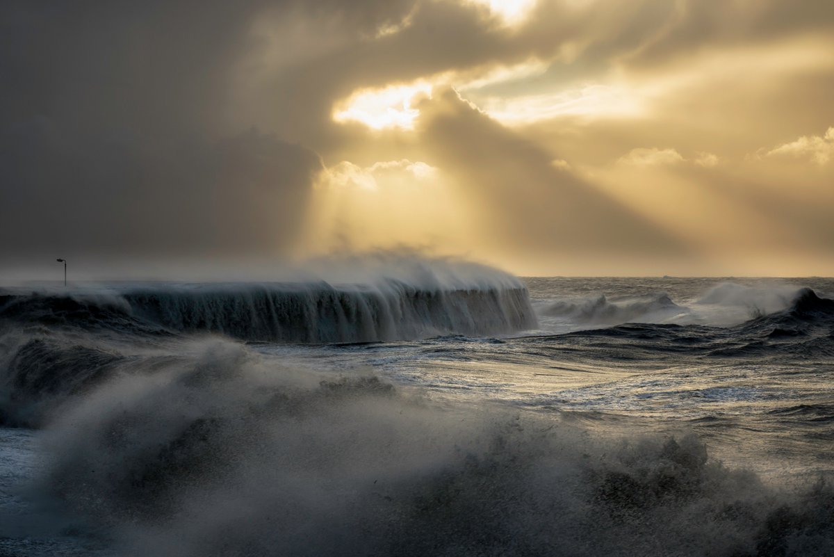 Tomasz Schafernaker (@Schafernaker) | Twitter