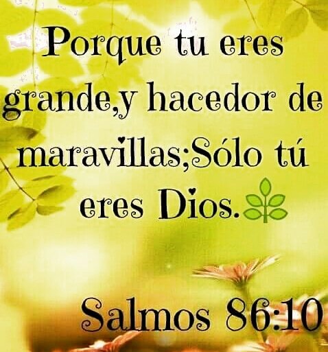 avivaguayaquil's tweet photo. #DiosEsFiel.
#FuenteDeProvision.
#NadaMeFaltara.
#ModeloDeDios #MiSustento.
#DiosGrandeYPoderoso. https://t.co/f7njM1RA4p