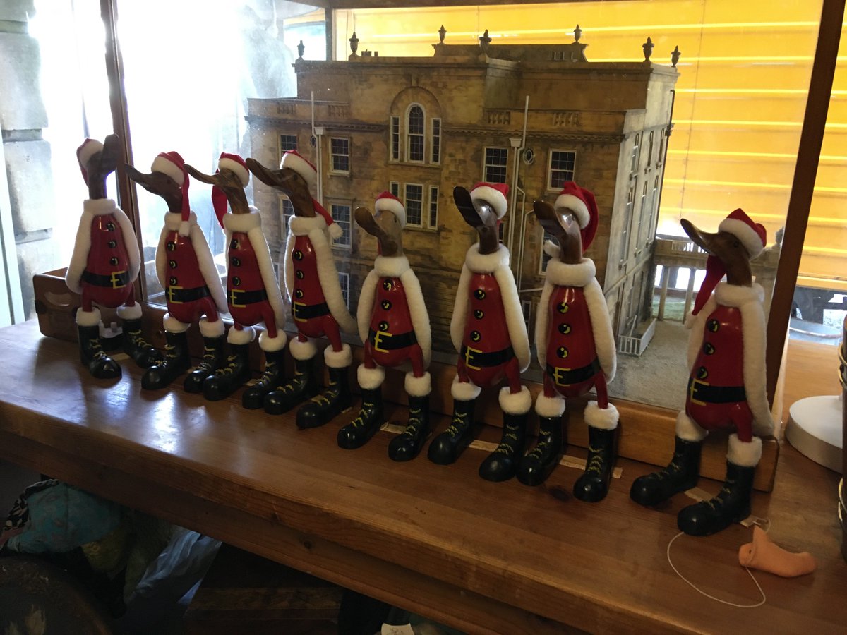 Getting our ducks in a row for Christmas!