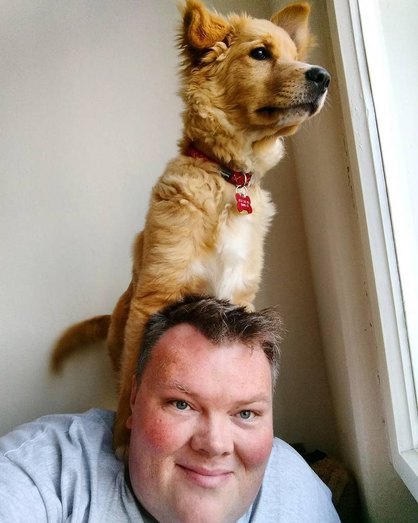 MISSINGMARMITE's tweet photo. Seems like Elvis views me as just another piece of furniture. 🐕 #missingmarmite #mydog #mypuppy #dog #puppylove #p… https://t.co/08iizlFJoc https://t.co/LiqD9aIrEF