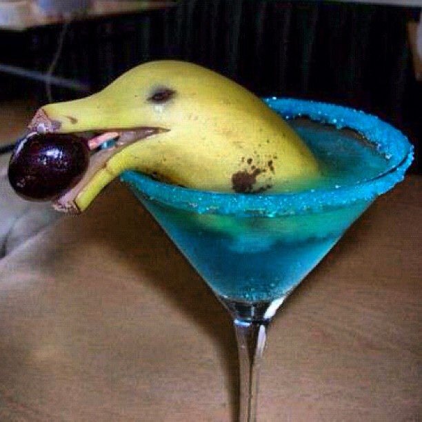 Box_Pipe's tweet image. Someone say dolphin?  #techradio