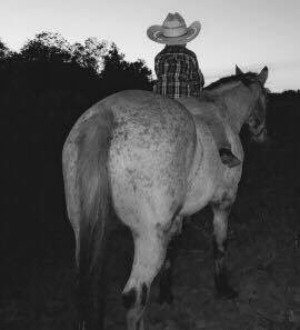 Arod0210's tweet photo. Barebacked grey last night #that'smyboy https://t.co/lE35pgRG20
