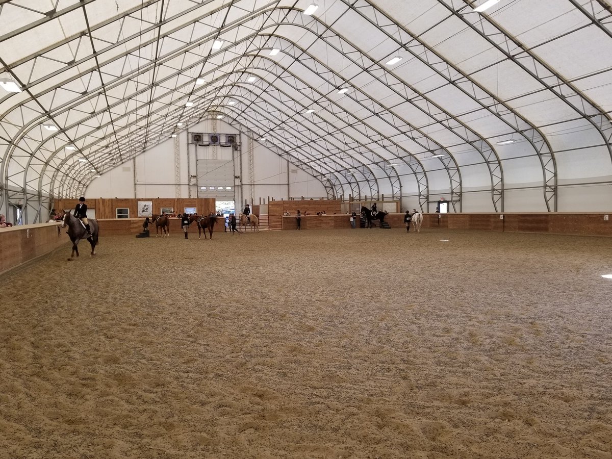 BristolAggie's tweet photo. #WalkTrott #FallShow2017 https://t.co/JDqJpY5laD