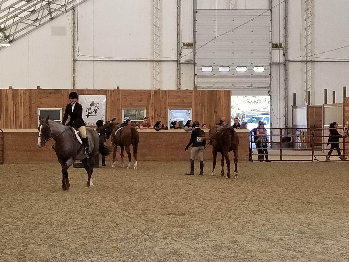 BristolAggie's tweet photo. #WalkTrott #FallShow2017 https://t.co/JDqJpY5laD