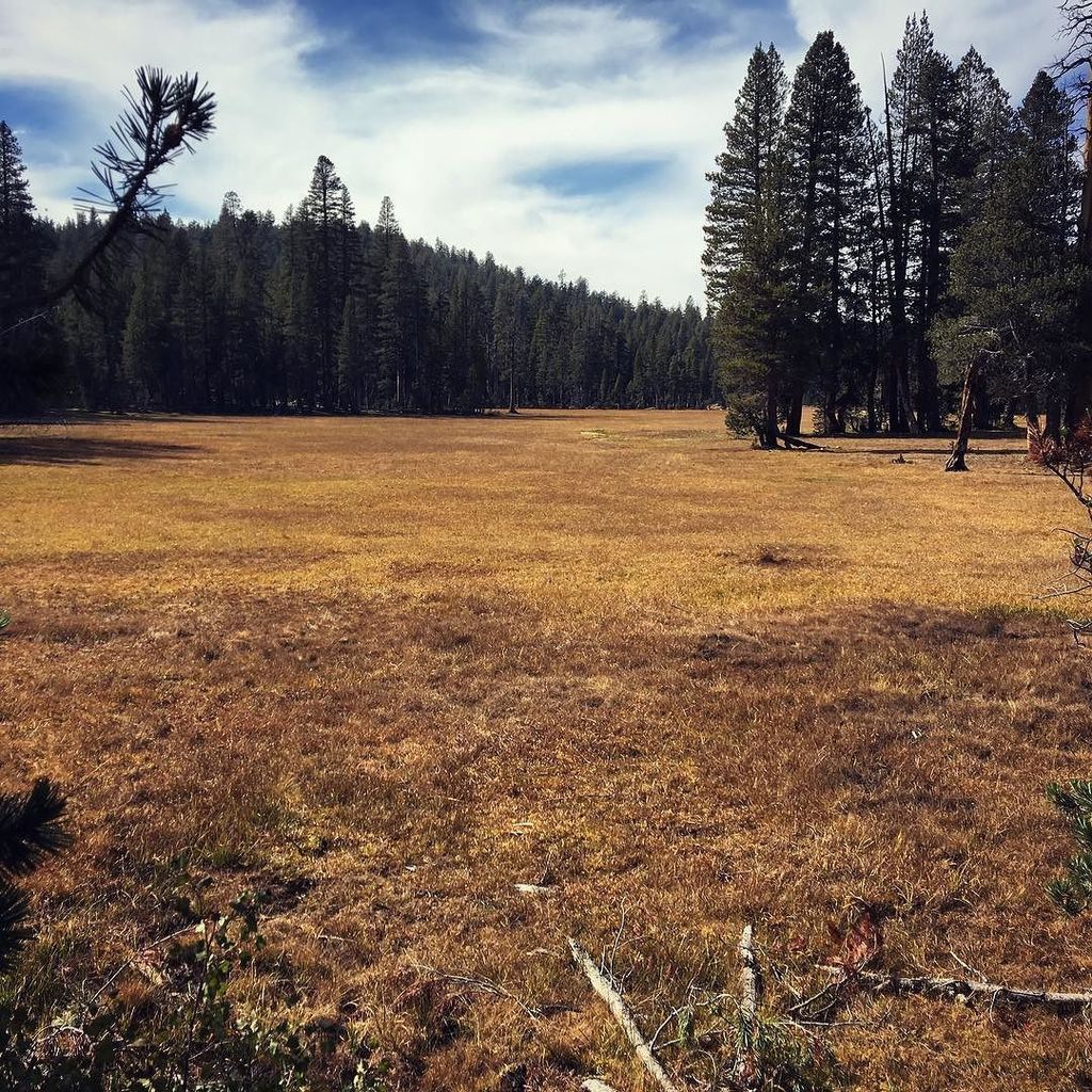 vvr's tweet photo. Fall color at Kaiser Meadow- soon this will be buried in white (we hope!). #kaiserpass #kaisermeadow #kaiserpassro… https://t.co/GyjGsew9bs https://t.co/aOpLXr4HbP