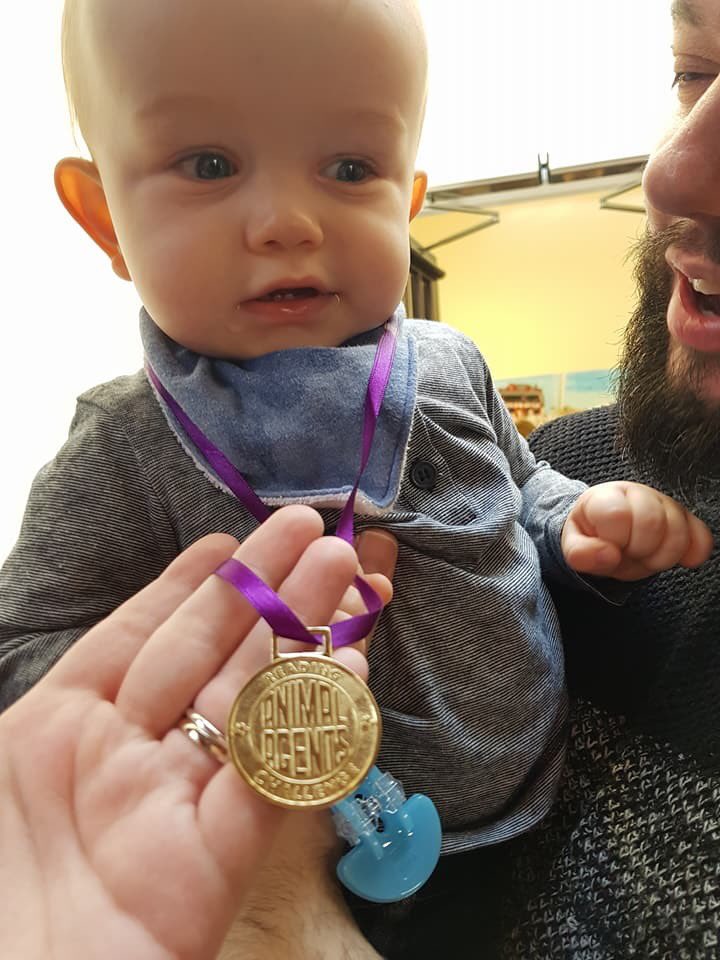 LibrariesNL's tweet photo. Did your little one get a #SummerReadingChallenge medal today at our #FocusonFamilies days like Harris here? We’d love to see. Send us pics! https://t.co/901VprPSMX