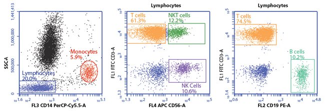 BDBiosciences's tweet image. Four-color whole blood #immunophenotyping panel on the BDAccuri C6 Plus #cellanalyzer #SaturdayScience ow.ly/YnBL30fprgG
